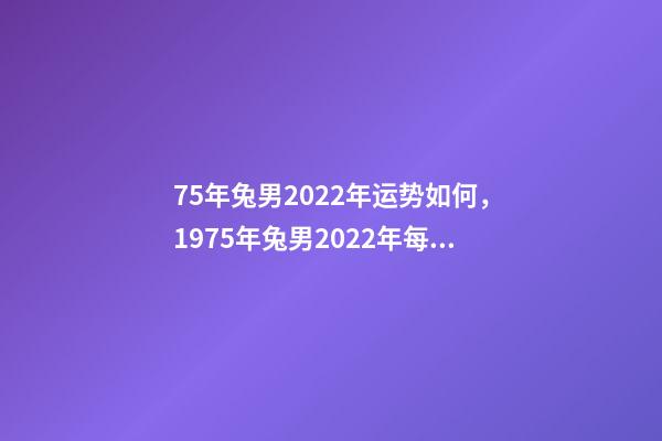 75年兔男2022年运势如何，1975年兔男2022年每月运 1975年属兔2022年运势1975年属兔人今年运程详解-第1张-观点-玄机派